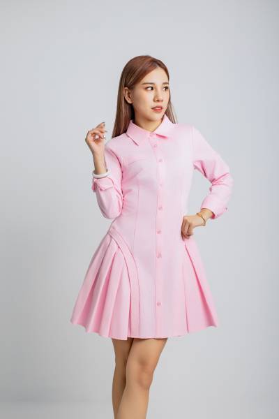 Panel-Structured Pleated Shirt Dress